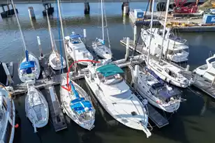 33 Lockwood Dr, Charleston, SC 29401 - Photo 9