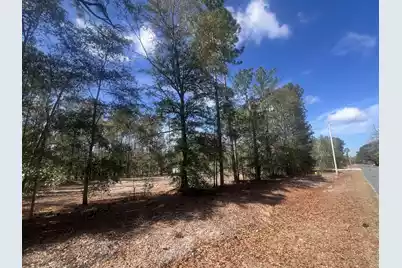 1969 Beach Road, Walterboro, SC 29488 - Photo 3