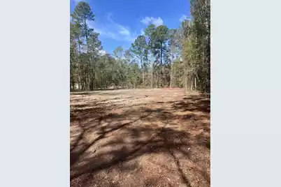 1969 Beach Road, Walterboro, SC 29488 - Photo 1