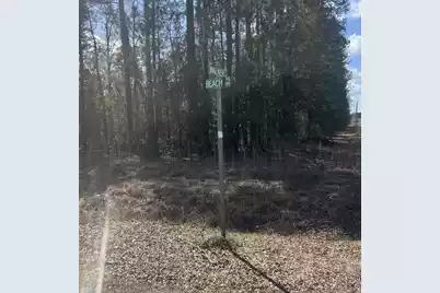 2009 Beach Road, Walterboro, SC 29488 - Photo 3