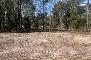 2009 Beach Rd, Walterboro, SC 29488 - Photo 1