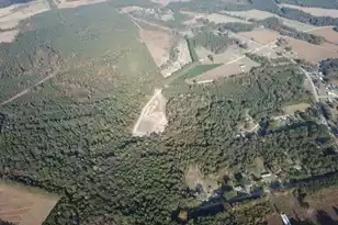 892 Pineland Rd, Vance, SC 29163 - Photo 1