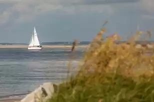 2730 Old Oak Walk, Seabrook Island, SC 29455 - Photo 59