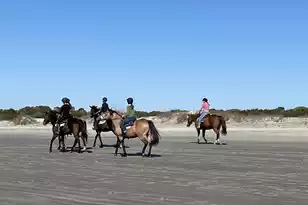 2730 Old Oak Walk, Seabrook Island, SC 29455 - Photo 49