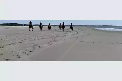 2730 Old Oak Walk, Seabrook Island, SC 29455 - Photo 43