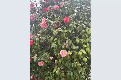 1247 Northfield Place, Hanahan, SC 29410 - Photo 23