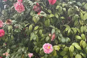 1247 Northfield Pl, Hanahan, SC 29410 - Photo 23