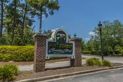 102 Amen Corner, Summerville, SC 29483 - Photo 45