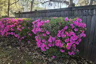 104 Pristine Ct, Summerville, SC 29485 - Photo 43