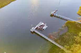 428 Ralston Creek St, Daniel Island, SC 29492 - Photo 77