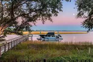 428 Ralston Creek St, Daniel Island, SC 29492 - Photo 73