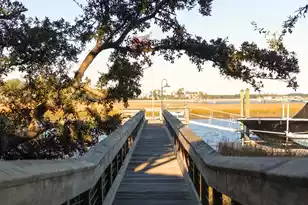 428 Ralston Creek St, Daniel Island, SC 29492 - Photo 71