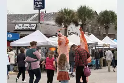 115 Mariners Cay Drive, Folly Beach, SC 29439 - Photo 23