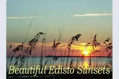 25 Blackbear Road, Edisto Island, SC 29438 - Photo 21