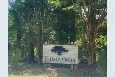 25 Blackbear Road, Edisto Island, SC 29438 - Photo 1