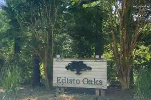 25 Blackbear Rd, Edisto Island, SC 29438 - Photo 1