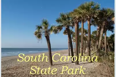 25 Blackbear Road, Edisto Island, SC 29438 - Photo 29