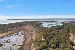 199 Lake Timicau Ln, Dewees Island, SC 29451 - Photo 37