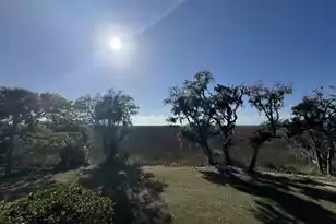 8785 Palmetto Rd, Edisto Island, SC 29438 - Photo 1