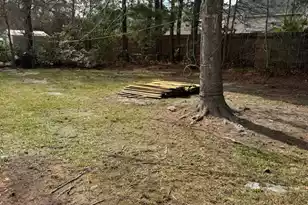 155 Grapevine Rd, Summerville, SC 29483 - Photo 17