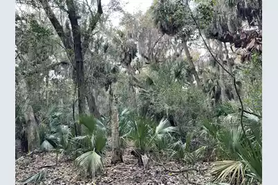 539 Oristo Ridge, Edisto Beach, SC 29438 - Photo 3