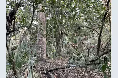 539 Oristo Ridge, Edisto Beach, SC 29438 - Photo 5