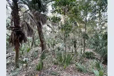 539 Oristo Ridge, Edisto Beach, SC 29438 - Photo 1