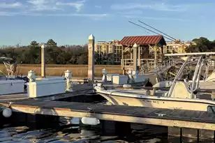 4255 Faber Pl Dr, North Charleston, SC 29405 - Photo 3