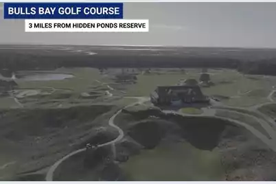 1187 Reserve Lane, Awendaw, SC 29429 - Photo 33