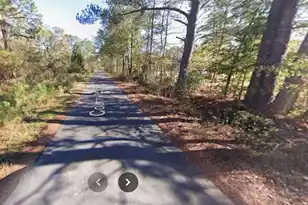 193 Lazy Acres Loop, Summerville, SC 29483 - Photo 45