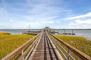 2410 Lieutenant Dozier Dr, Johns Island, SC 29455 - Photo 59