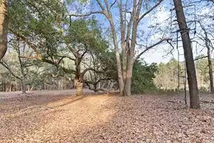 138 Sunnyvale Ct, Orangeburg, SC 29115 - Photo 5