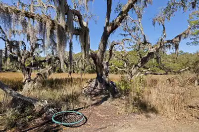 1230 Brackish Court, Beaufort, SC 29902 - Photo 35