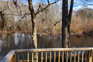 93 Deepwater Ave, Round O, SC 29474 - Photo 47