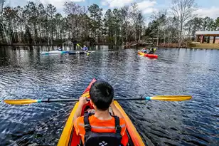 1012 Red Turnstone Run, Summerville, SC 29485 - Photo 19