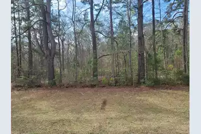 5933 Dixie Plantation Road, Hollywood, SC 29449 - Photo 3