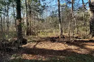 5933 Dixie Plantation Rd, Hollywood, SC 29449 - Photo 39