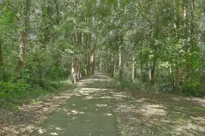 106 Preston Court, Goose Creek, SC 29445 - Photo 39