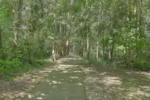 106 Preston Ct, Goose Creek, SC 29445 - Photo 39