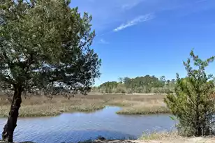 603 McLernon Trce, Johns Island, SC 29455 - Photo 21