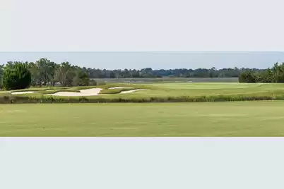 4066 Gnarled Oaks Lane, Johns Island, SC 29455 - Photo 41