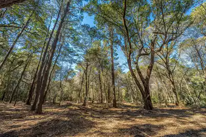 4066 Gnarled Oaks Lane, Johns Island, SC 29455 - Photo 15