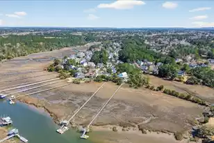 1415 Black River Dr, Mount Pleasant, SC 29466 - Photo 41