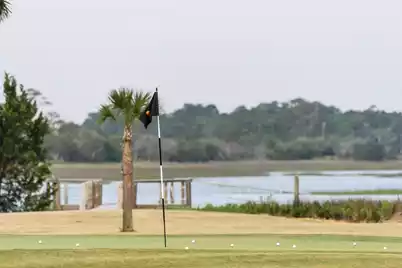 4129 Gnarled Oaks Lane, Johns Island, SC 29455 - Photo 31