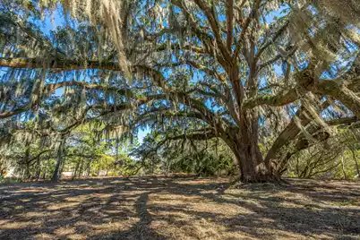 4129 Gnarled Oaks Lane, Johns Island, SC 29455 - Photo 5