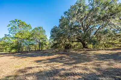 4129 Gnarled Oaks Lane, Johns Island, SC 29455 - Photo 7