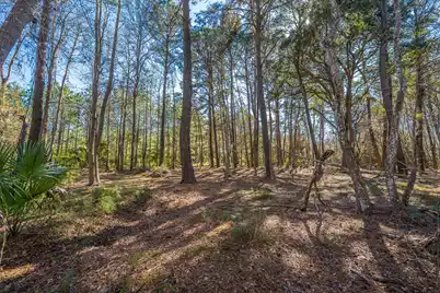 4129 Gnarled Oaks Lane, Johns Island, SC 29455 - Photo 17