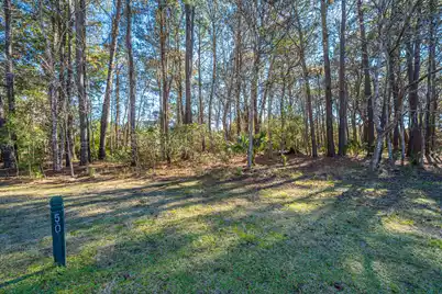 4129 Gnarled Oaks Lane, Johns Island, SC 29455 - Photo 15