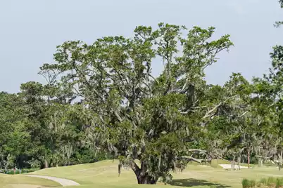 4129 Gnarled Oaks Lane, Johns Island, SC 29455 - Photo 41