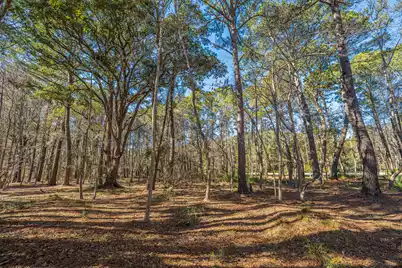 4129 Gnarled Oaks Lane, Johns Island, SC 29455 - Photo 19